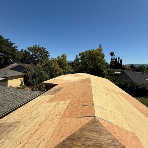 WhatsApp Image 2025-07-09 at 11.21.48 PM